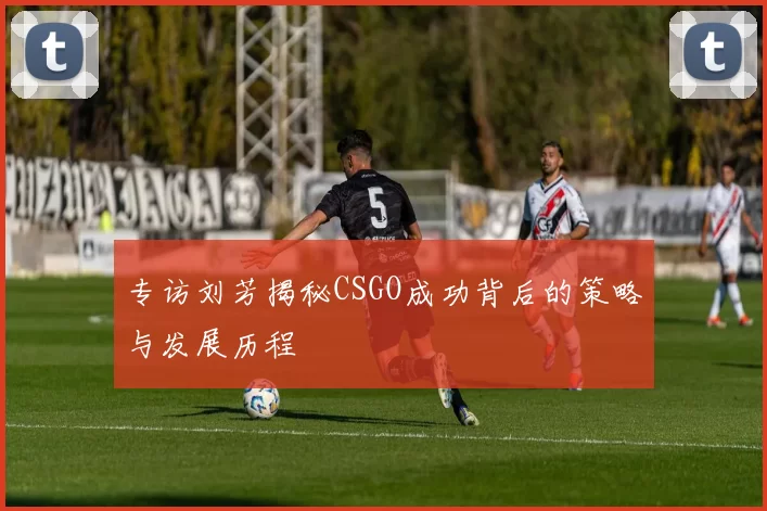 专访刘芳揭秘CSGO成功背后的策略与发展历程