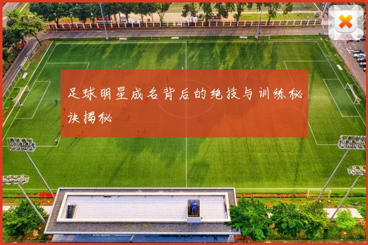 足球明星成名背后的绝技与训练秘诀揭秘