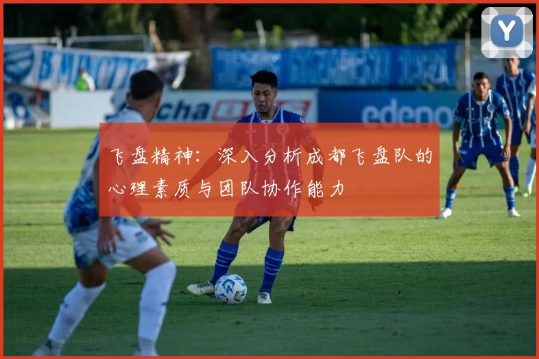 飞盘精神：深入分析成都飞盘队的心理素质与团队协作能力