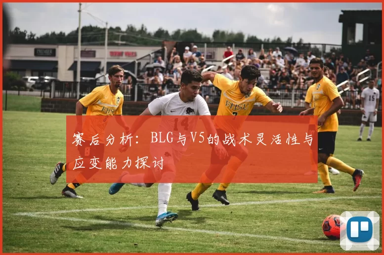 赛后分析：BLG与V5的战术灵活性与应变能力探讨
