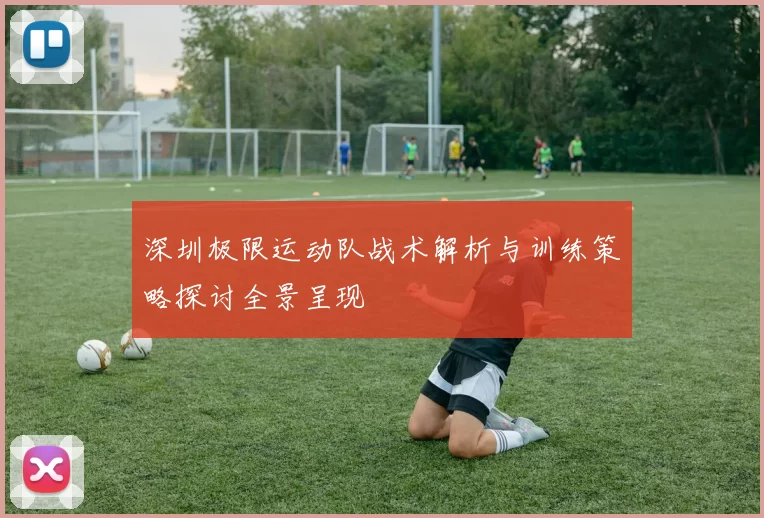 深圳极限运动队战术解析与训练策略探讨全景呈现