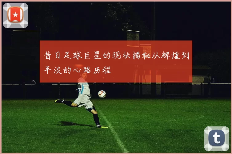昔日足球巨星的现状揭秘从辉煌到平淡的心路历程
