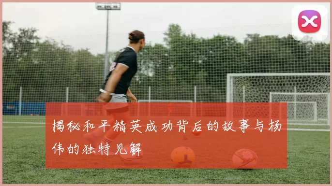 揭秘和平精英成功背后的故事与杨伟的独特见解