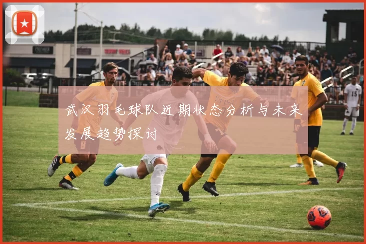 武汉羽毛球队近期状态分析与未来发展趋势探讨