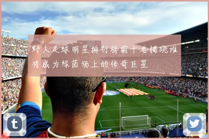 野人足球明星排行榜前十名揭晓谁将成为绿茵场上的传奇巨星