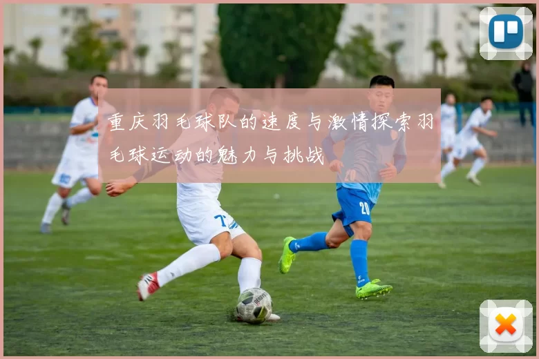 重庆羽毛球队的速度与激情探索羽毛球运动的魅力与挑战